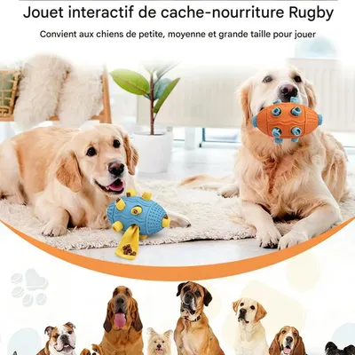 FurryFusion Nappe d'odorat pour chiens FurryFusion Nappe d'odorat pour chiens