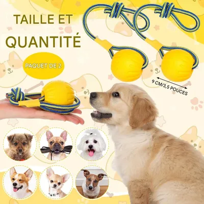 FurryFusion Jeu flottant et résistant pour chien