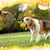 FurryFusion Jeu flottant et résistant pour chien