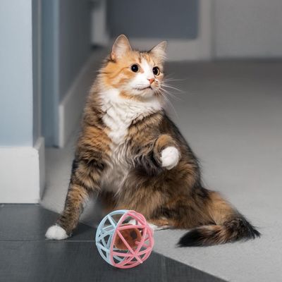 FurryFusion Balle sonore pour chat