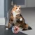 FurryFusion Balle sonore pour chat