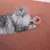 FurryFusion Balle sonore pour chat