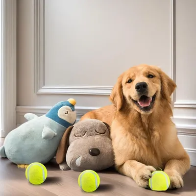 ZooVenture Balle Tennis Chien Caoutchouc Vert 3P ZooVenture Balle Tennis Chien Caoutchouc Vert 3P