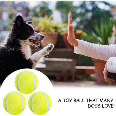 ZooVenture Balle Tennis Chien Caoutchouc Vert 3P ZooVenture Balle Tennis Chien Caoutchouc Vert 3P