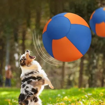 FurryFusion Ballon gonflable pour chiens de grande taille FurryFusion Ballon gonflable pour chiens de grande taille