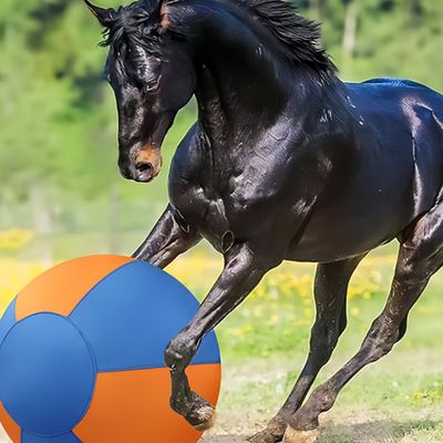 FurryFusion Ballon gonflable pour chiens de grande taille
