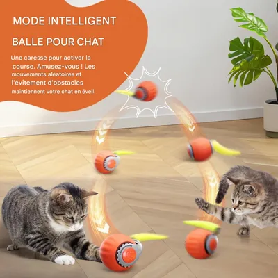 FurryFusion Jouet intelligent pour chat FurryFusion Jouet intelligent pour chat
