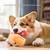 FurryFusion Bille électrique sautante en peluche pour chiens FurryFusion Bille électrique sautante en peluche pour chiens