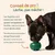 FurryFusion Balle à nourriture anti - glouton en silicone pour chien FurryFusion Balle à nourriture anti - glouton en silicone pour chien