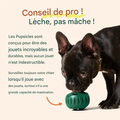 FurryFusion Balle à nourriture anti - glouton en silicone pour chien FurryFusion Balle à nourriture anti - glouton en silicone pour chien