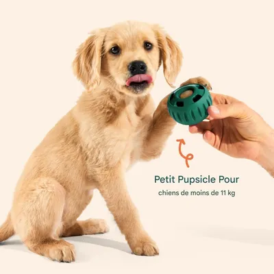 FurryFusion Balle à nourriture anti - glouton en silicone pour chien FurryFusion Balle à nourriture anti - glouton en silicone pour chien