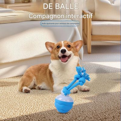 FurryFusion Bille roulante intelligente pour chiens