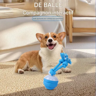 FurryFusion Bille roulante intelligente pour chiens FurryFusion Bille roulante intelligente pour chiens