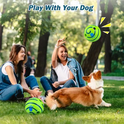 MCBOSON Balle de jeu pour chien sonore, 14 cm MCBOSON Balle de jeu pour chien sonore, 14 cm
