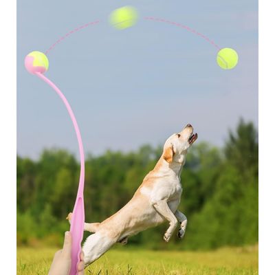 ZooVenture Lanzador ergonómico de pelotas para perros (3 piezas)
