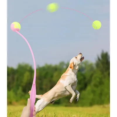 ZooVenture Lance Balle Chien 3 Pièces Ergonomique ZooVenture Lance Balle Chien 3 Pièces Ergonomique