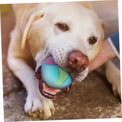 PetTribes Jouet à Mâcher Balles pour Chien