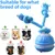 Zoomtopia Jouet chien interactif citrouille bleu orange 3 modes Zoomtopia Jouet chien interactif citrouille bleu orange 3 modes