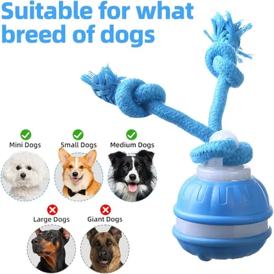 Zoomtopia Jouet chien interactif citrouille bleu orange 3 modes Zoomtopia Jouet chien interactif citrouille bleu orange 3 modes