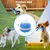 Zoomtopia Jouet chien interactif citrouille bleu orange 3 modes Zoomtopia Jouet chien interactif citrouille bleu orange 3 modes