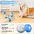 Zoomtopia Jouet chien interactif citrouille bleu orange 3 modes Zoomtopia Jouet chien interactif citrouille bleu orange 3 modes