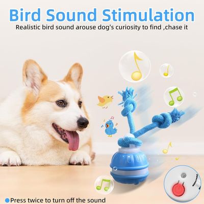 Zoomtopia Jouet chien interactif citrouille bleu orange 3 modes
