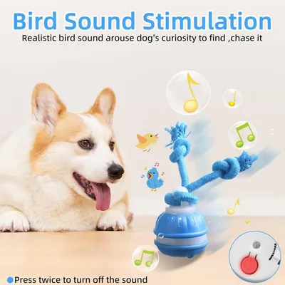 Zoomtopia Jouet chien interactif citrouille bleu orange 3 modes Zoomtopia Jouet chien interactif citrouille bleu orange 3 modes