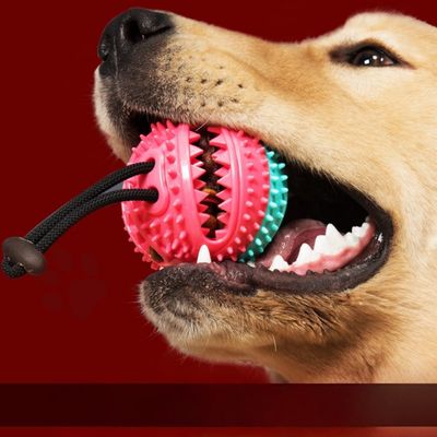 FurryFusion Boule à nourriture filtrante pour chien