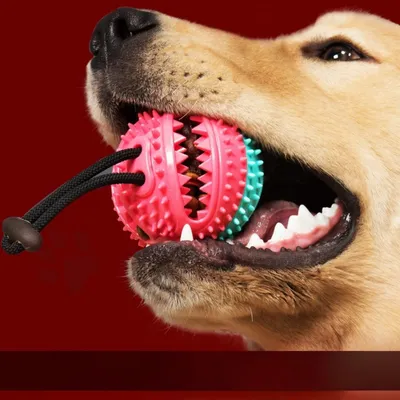 FurryFusion Boule à nourriture filtrante pour chien FurryFusion Boule à nourriture filtrante pour chien