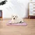PetTribes Tapis Refroidissant Rose M : 60x50cm, Double Face PetTribes Tapis Refroidissant Rose M : 60x50cm, Double Face