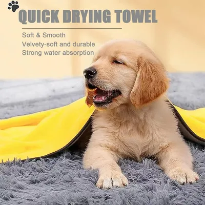 PetTribes Serviette Microfibre Chien : 100x50cm, Séchage Rapide, Absorbante