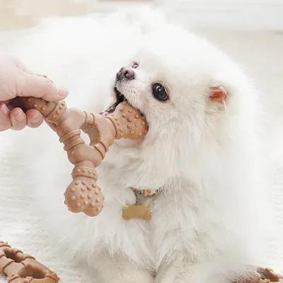 PetTribes Jouet à Mâcher Chien Résistant, Os Dentition PetTribes Jouet à Mâcher Chien Résistant, Os Dentition
