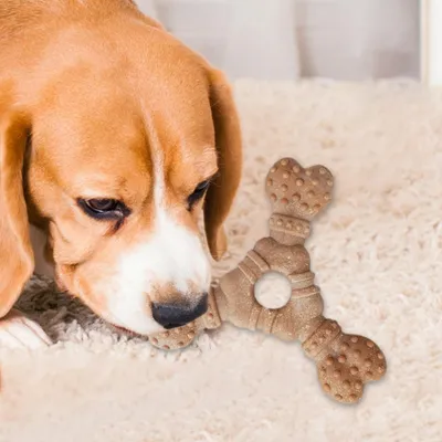 PetTribes Jouet à Mâcher Chien Résistant, Os Dentition PetTribes Jouet à Mâcher Chien Résistant, Os Dentition