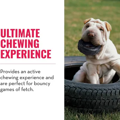HausPets Jouet Pneu Extreme en Caoutchouc Naturel Chiens Moyens HausPets Jouet Pneu Extreme en Caoutchouc Naturel Chiens Moyens