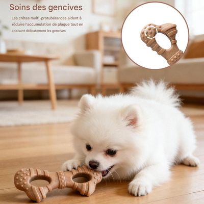FurryFusion Os à friandises pour chiens, abrasif et résistant à la morsure