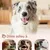 FurryFusion Os à friandises pour chiens, abrasif et résistant à la morsure FurryFusion Os à friandises pour chiens, abrasif et résistant à la morsure