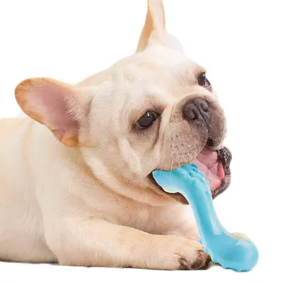 FurryFusion Os à grincer en nylon aux saveurs de bacon pour chien FurryFusion Os à grincer en nylon aux saveurs de bacon pour chien