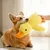 FurryFusion Canard en peluche pour chiens FurryFusion Canard en peluche pour chiens