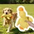 FurryFusion Canard en peluche pour chiens FurryFusion Canard en peluche pour chiens