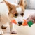 PetTribes Carotte À Mâcher Silicone