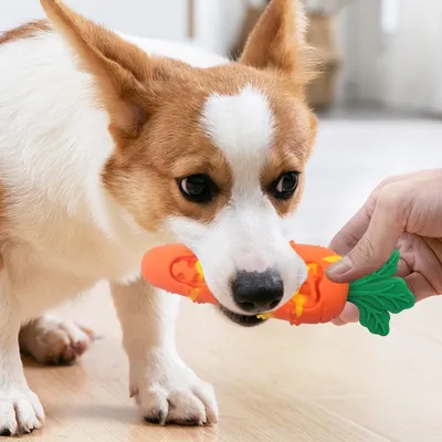 PetTribes Carotte À Mâcher Silicone