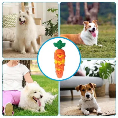 PetTribes Carotte À Mâcher Silicone