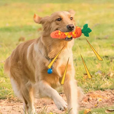 PetTribes Carotte À Mâcher Silicone
