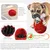 FurryFusion Oeuf de dinosaure pour chien à nourriture lente FurryFusion Oeuf de dinosaure pour chien à nourriture lente