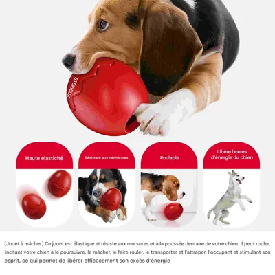 FurryFusion Oeuf de dinosaure pour chien à nourriture lente FurryFusion Oeuf de dinosaure pour chien à nourriture lente