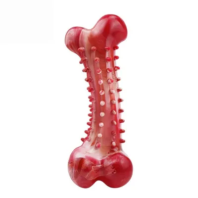FurryFusion Os en caoutchouc pour chien anti-morsure FurryFusion Os en caoutchouc pour chien anti-morsure
