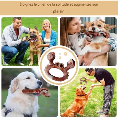 ZooVenture Jouet Crabe Chien - Nylon, Bœuf, Hygiène Dentaire ZooVenture Jouet Crabe Chien - Nylon, Bœuf, Hygiène Dentaire