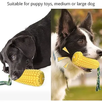 PetTribes Jouet Chien DentiStick PetTribes Jouet Chien DentiStick