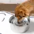 FurryFusion Ver de peluche sonore avec menthe poivrée pour chat FurryFusion Ver de peluche sonore avec menthe poivrée pour chat