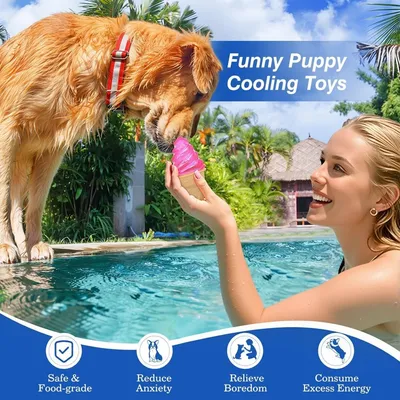HausPets Lot de 2 Jouets à Mâcher Congelables pour Chiens Bleu